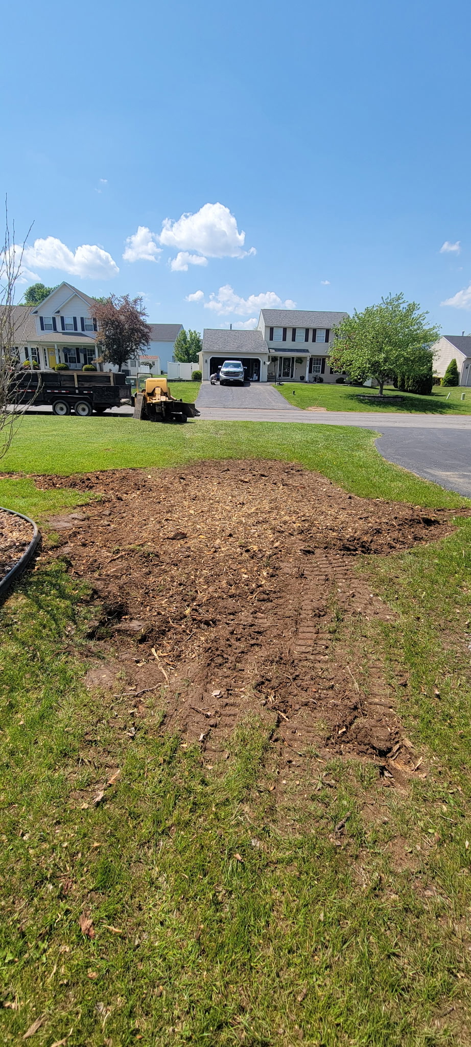 Yard after stump grinding — clean and level