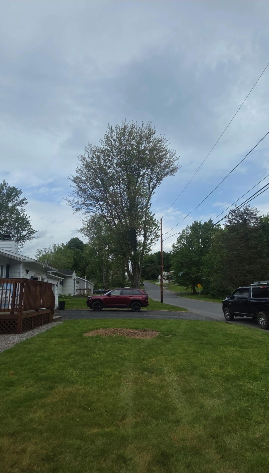 Property after tree removal — clean and clear