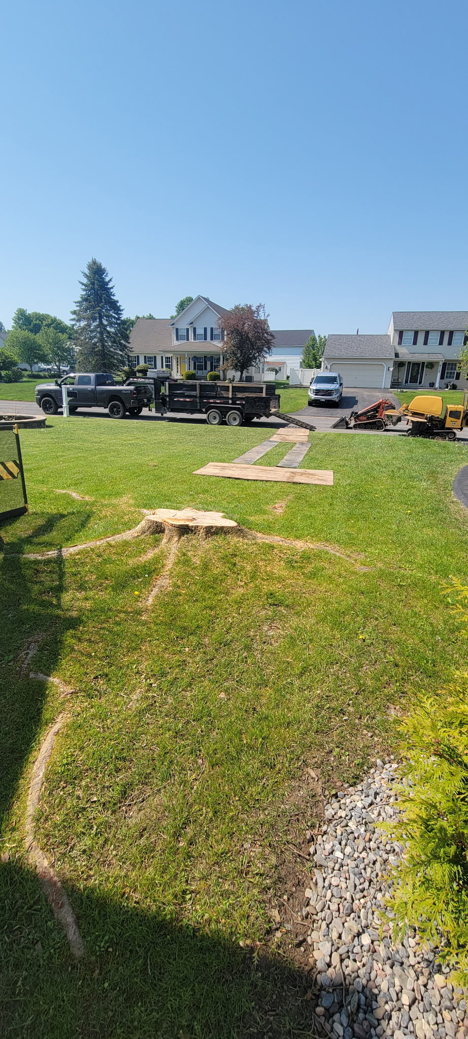 Large tree just removed, stump visible with equipment on site