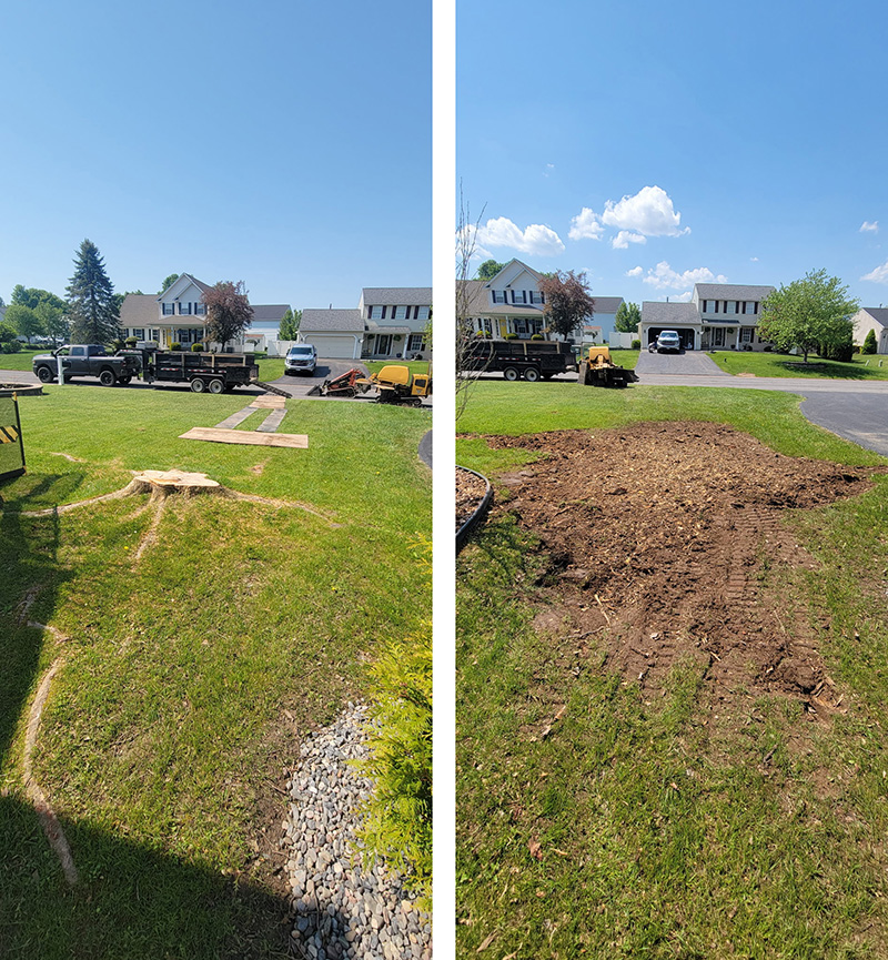 Stump Grinding Syracuse NY