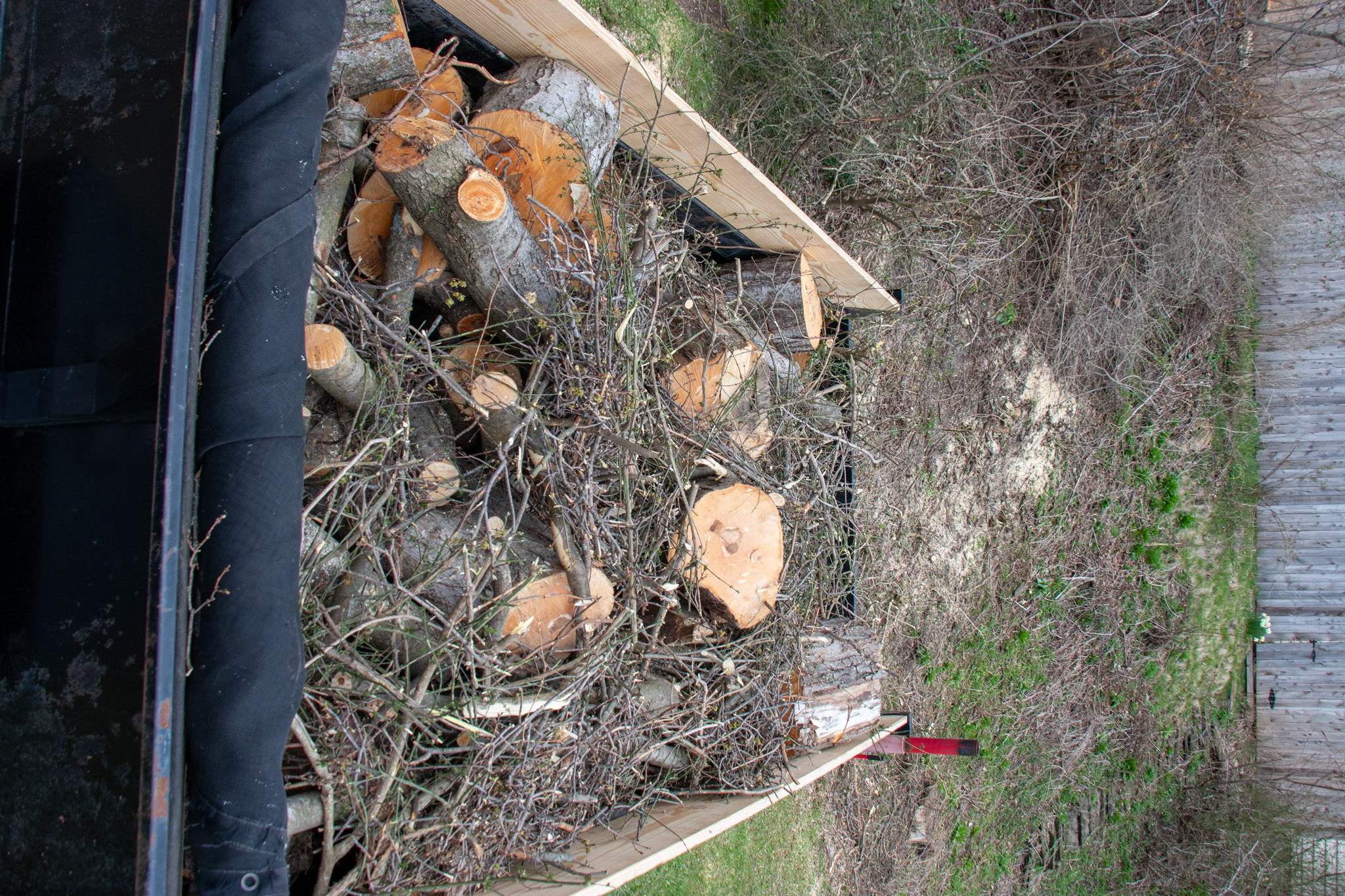 Land Clearing CNY